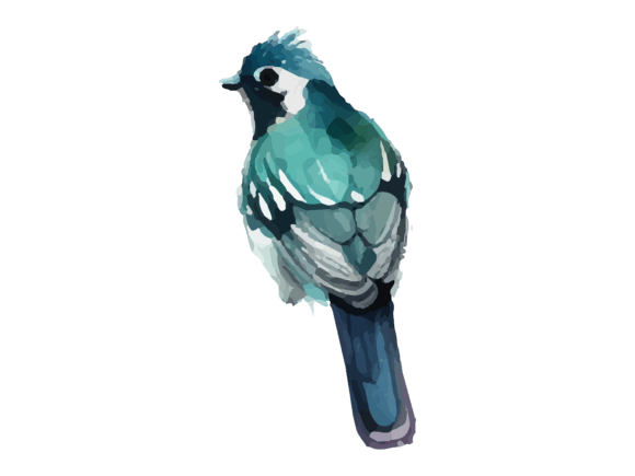 Watercolor Bird and Sparrow Painting: Graphics & Illustrations